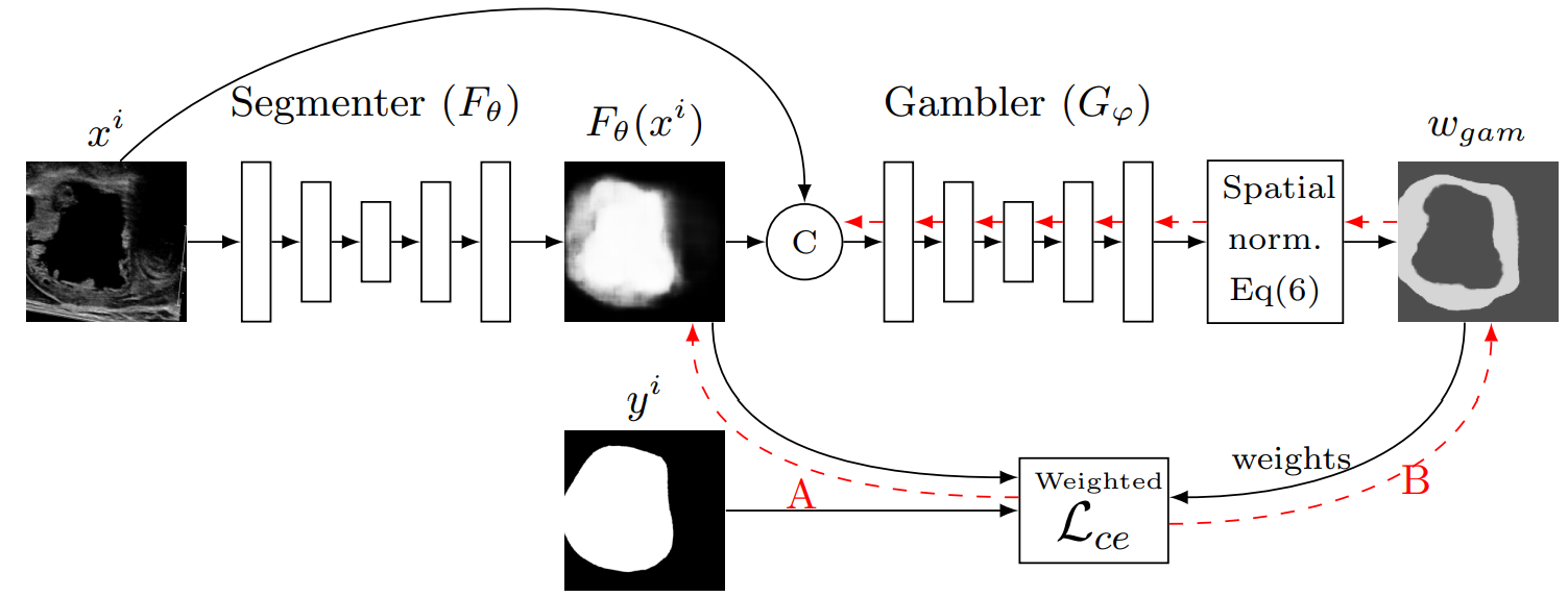TUS Gamb. Adv. Nets teaser